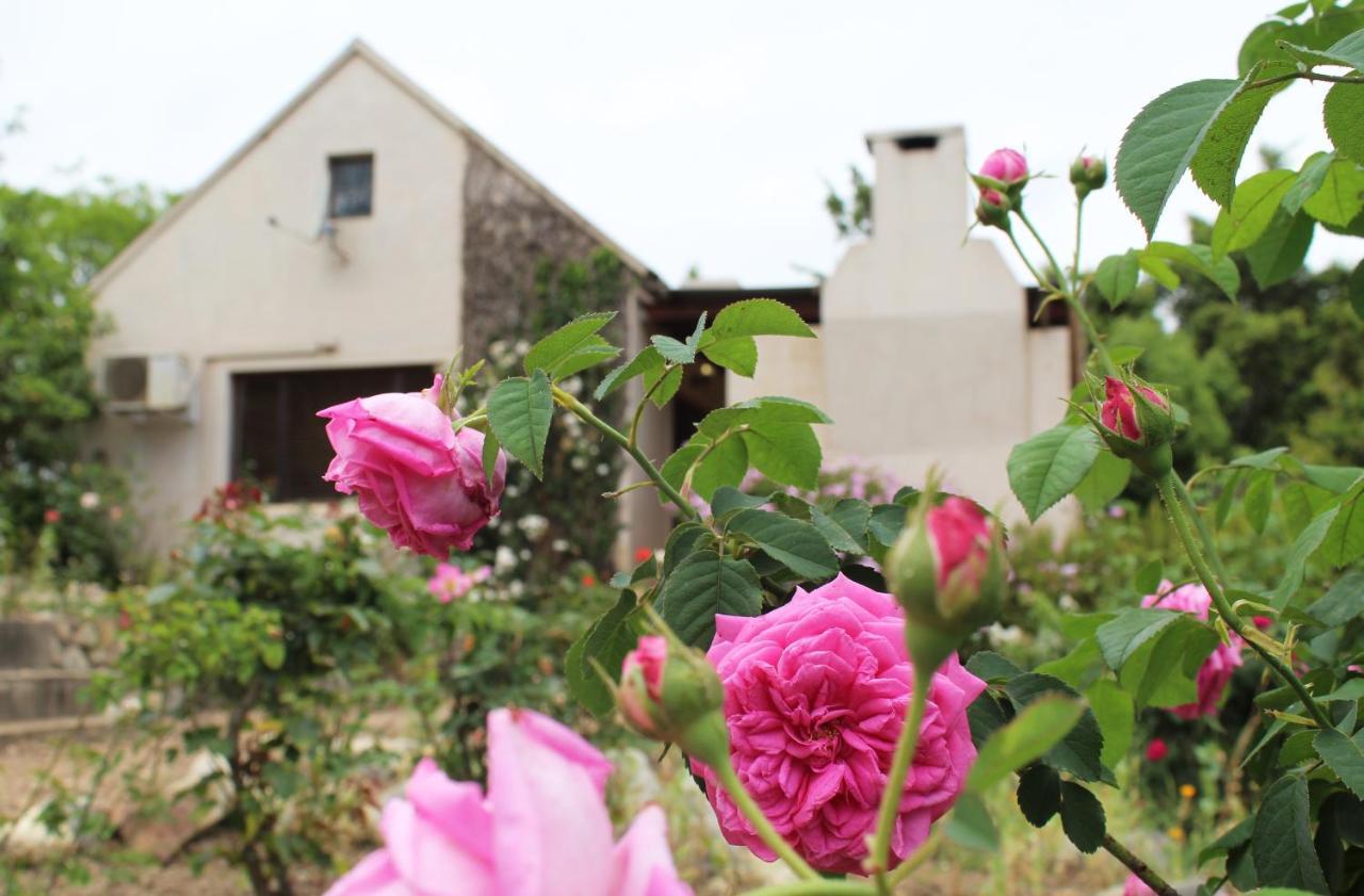 Villa Wildebraam Berry Estate Swellendam Exterior foto